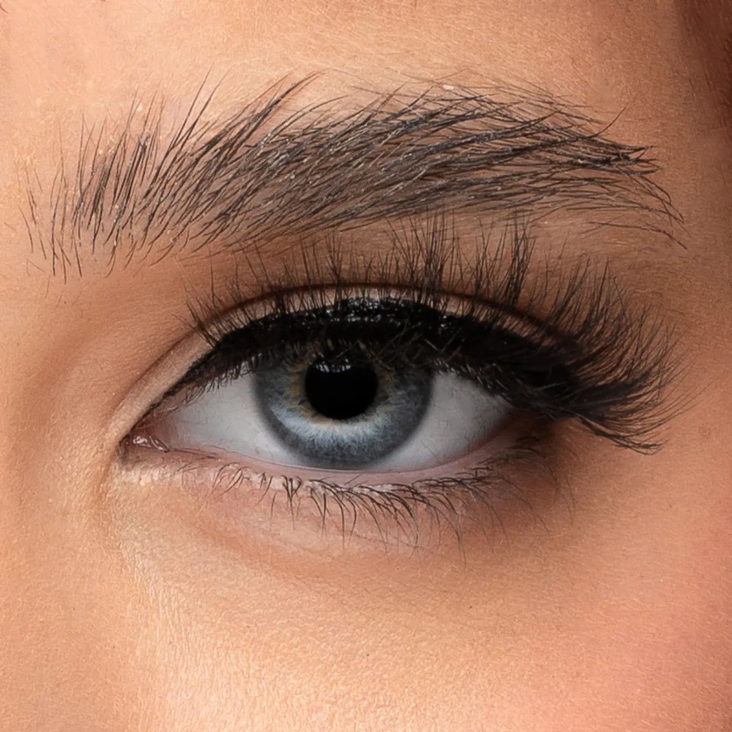 Vixen Kit -  Magnetic Lashes and eyeliner